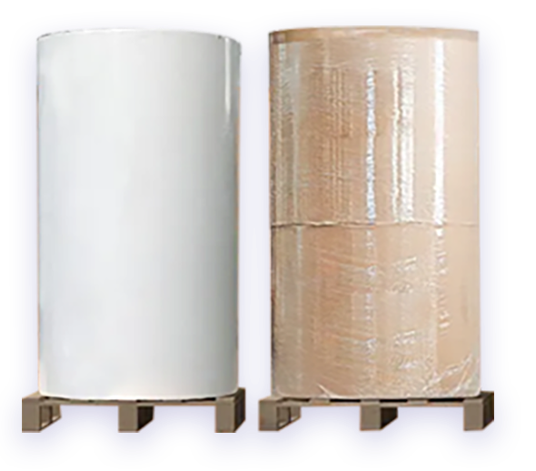 Thermal Jumbo Roll